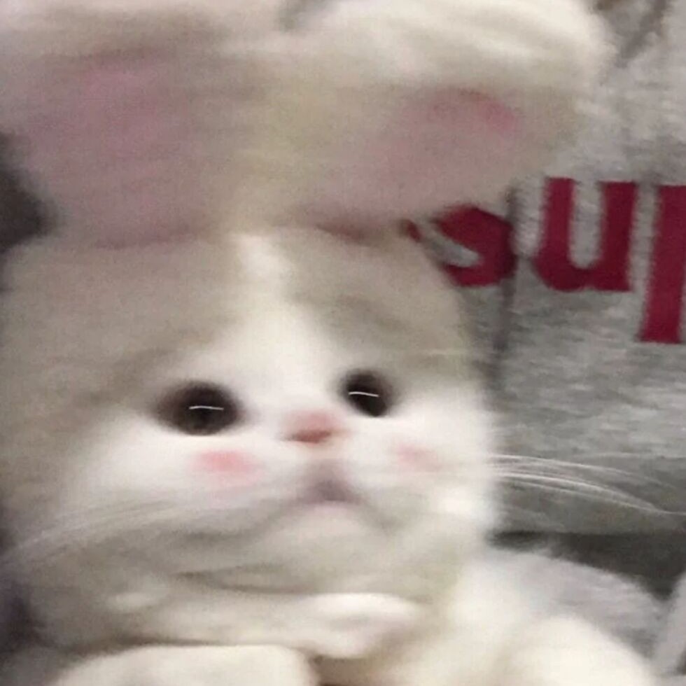 中秋节快乐呀