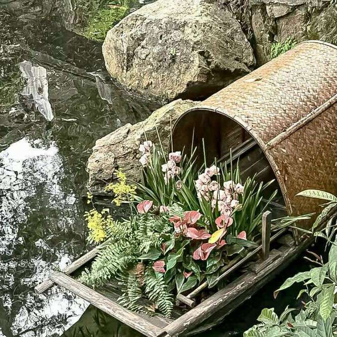 古诗文素材