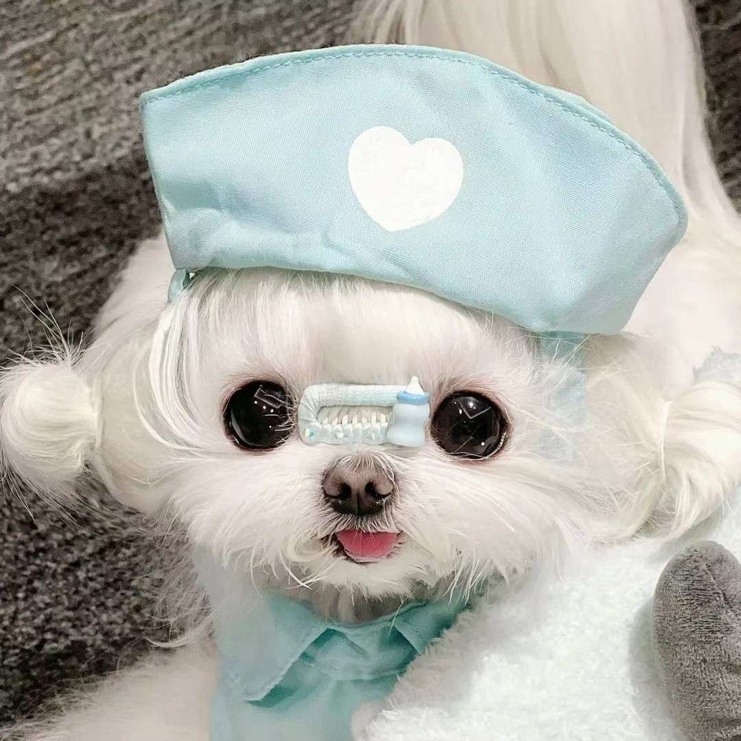 随手摘录