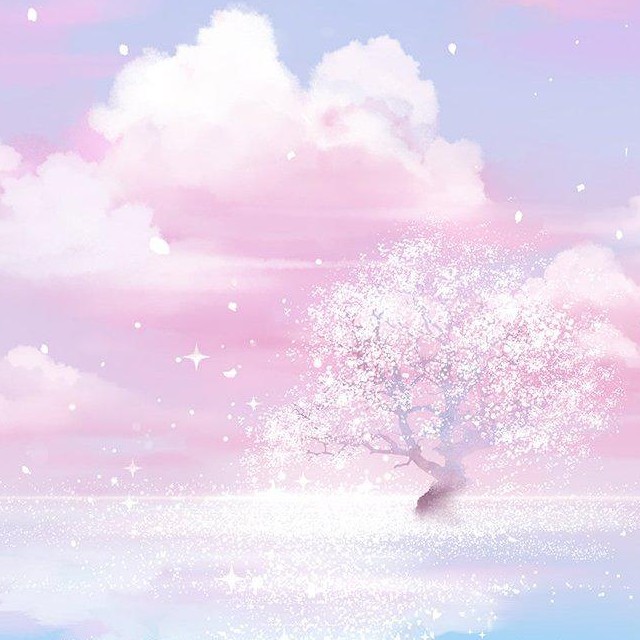 琳星的专辑