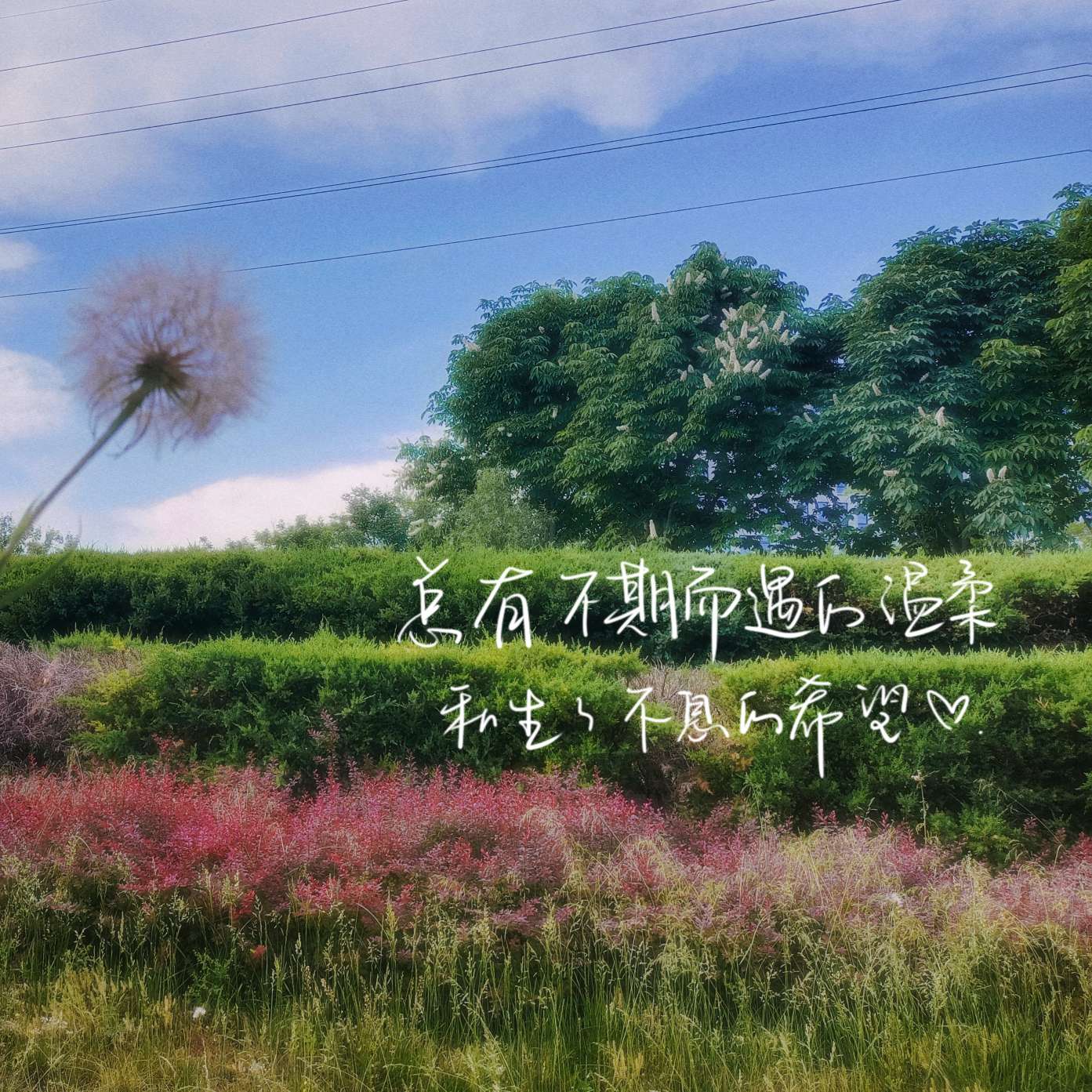凌乱521的专辑