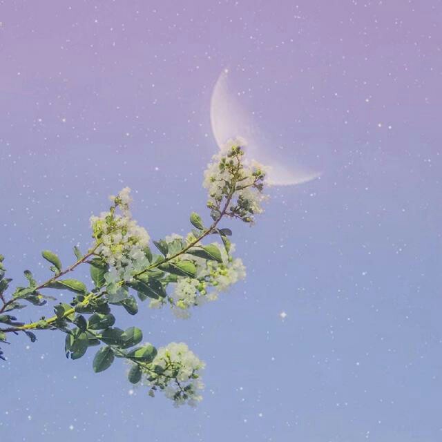 遇见