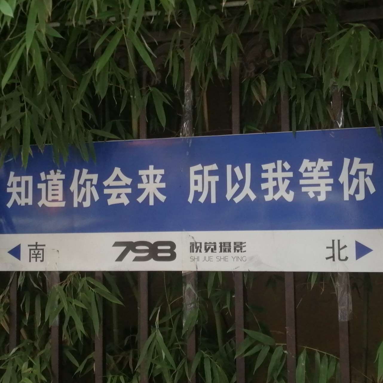 w的专辑