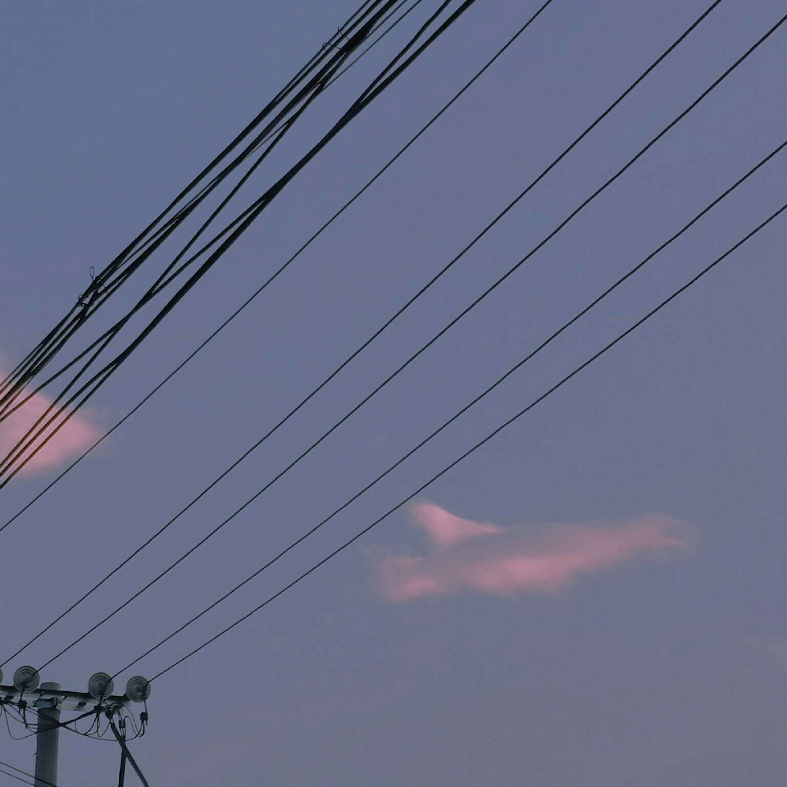拂柚的专辑