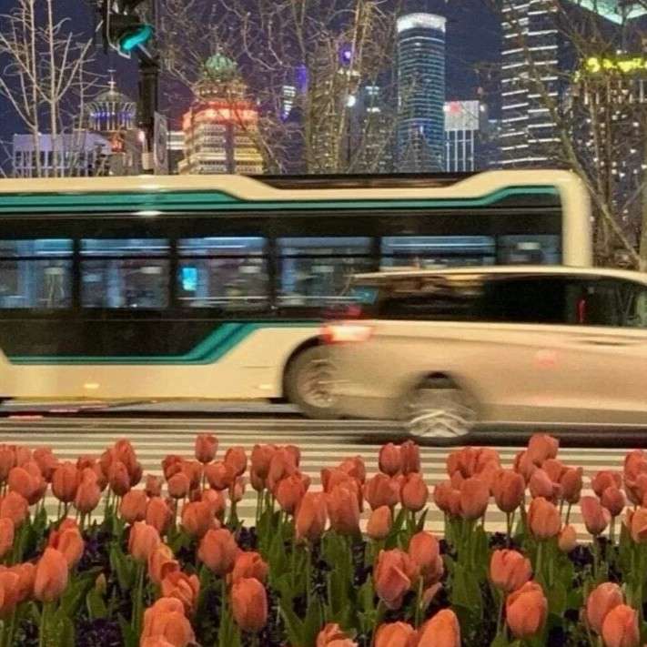 小说里的遗憾