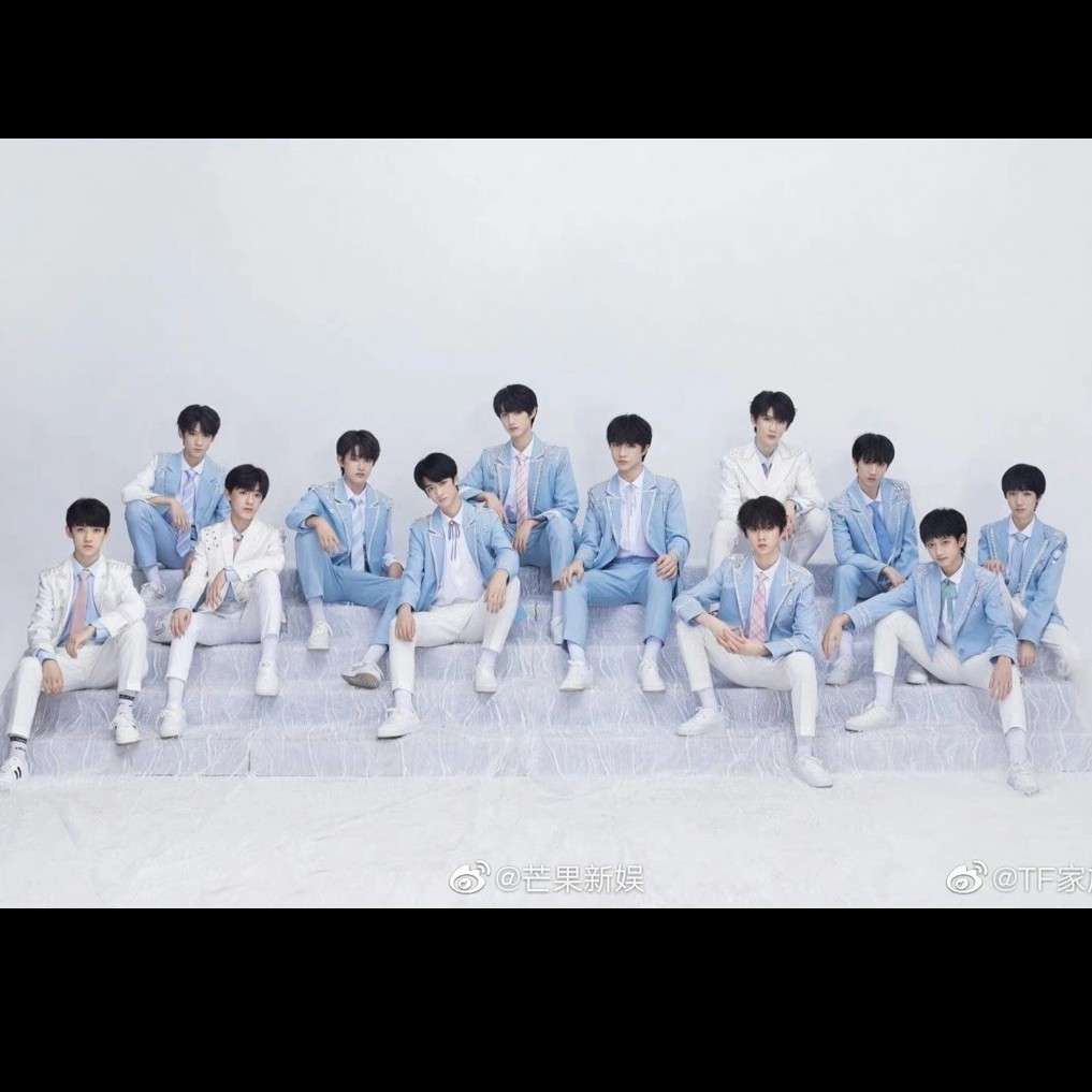 tf家族