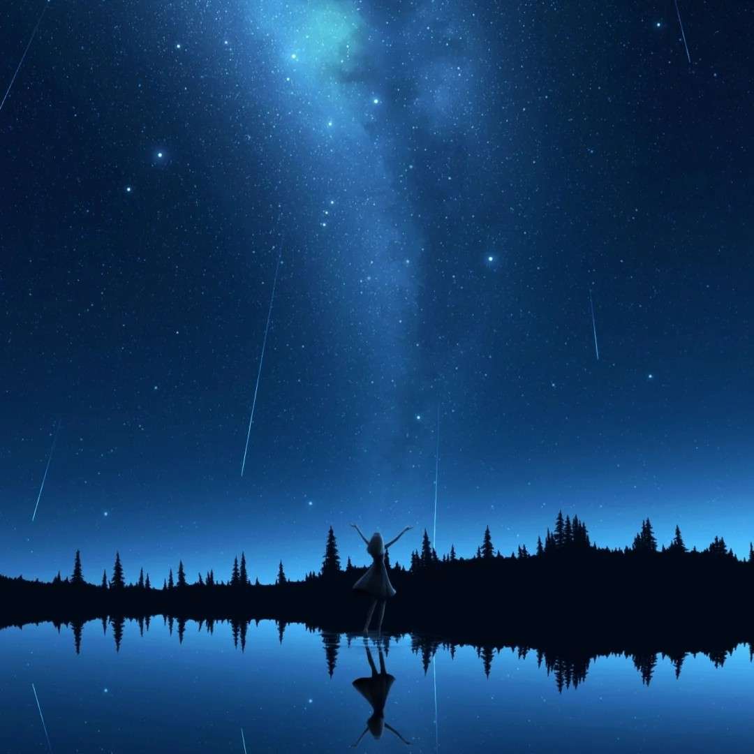 鲸落