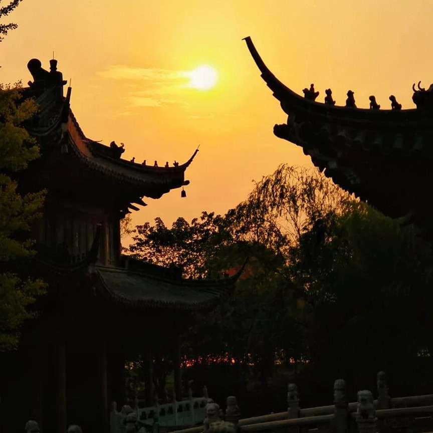南方橘.的专辑