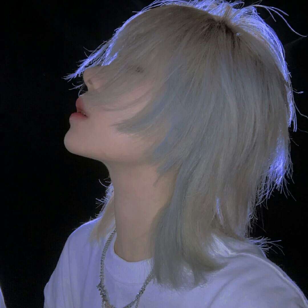 世界命题