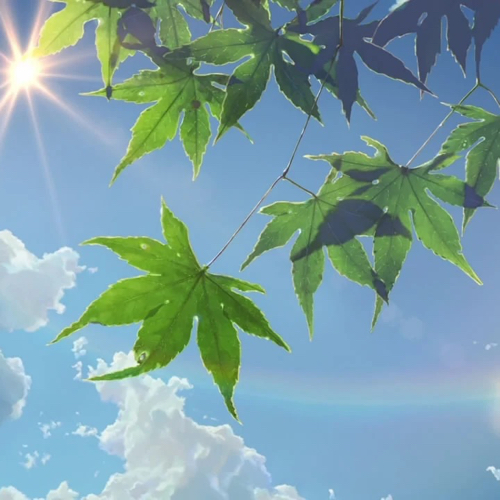 无比杂芜的思绪