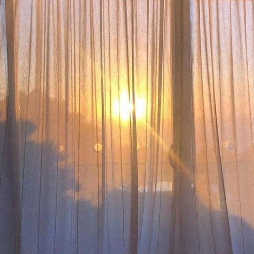 青春