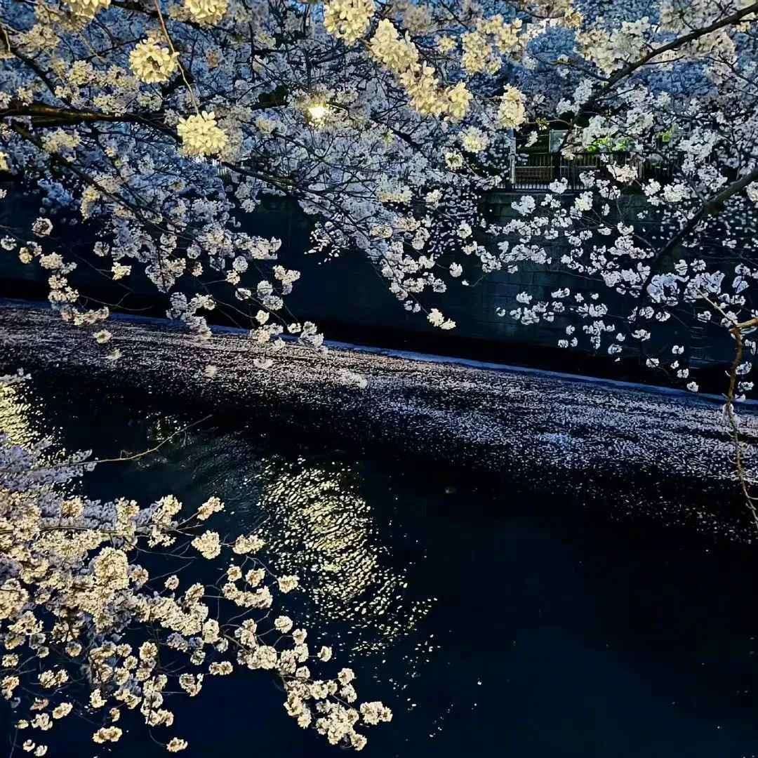 小茅房