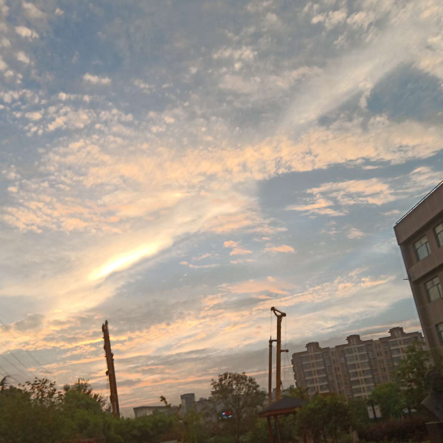 悸停的专辑