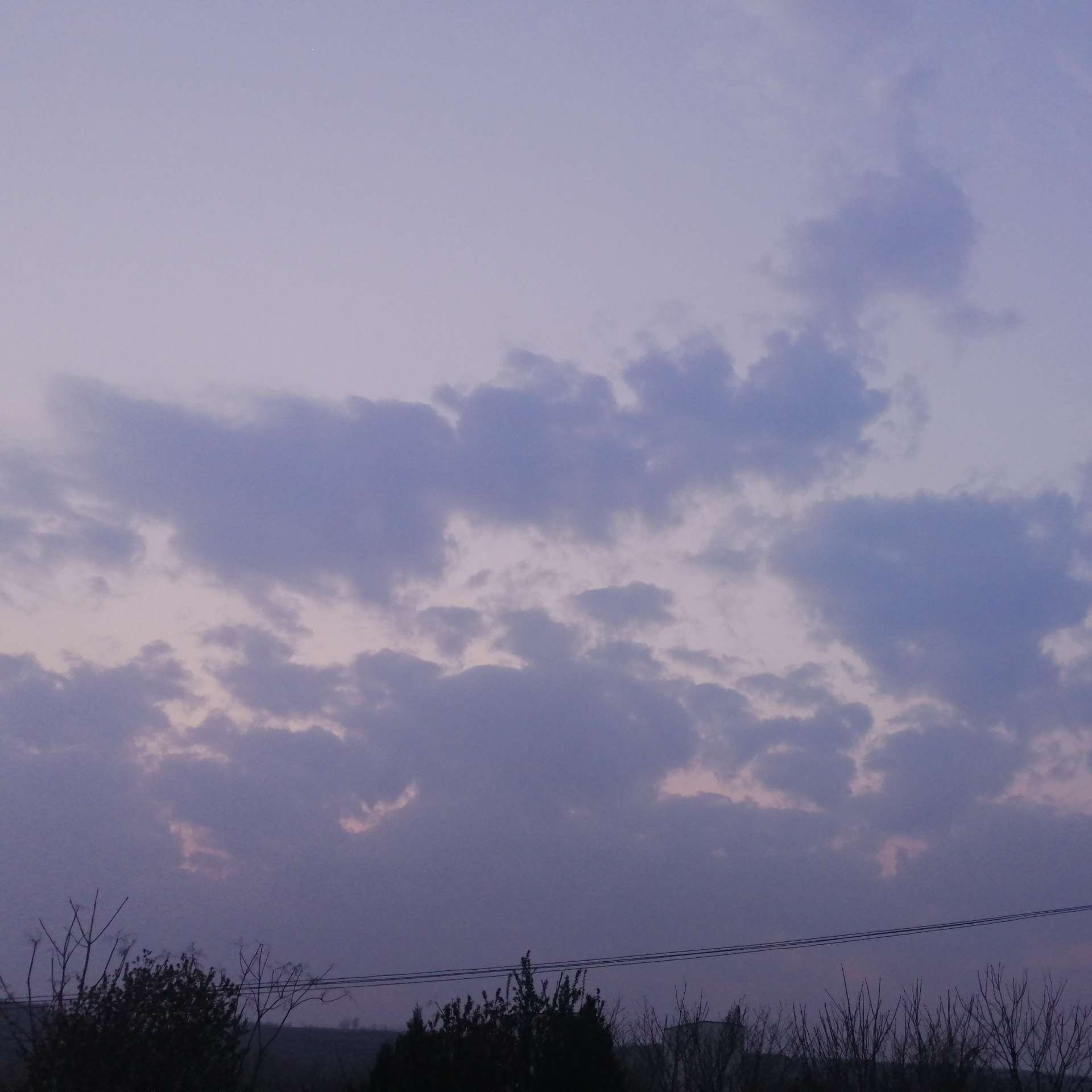 鹤别空山的专辑
