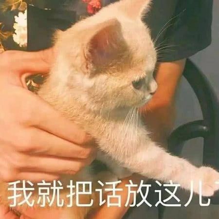 土味情话