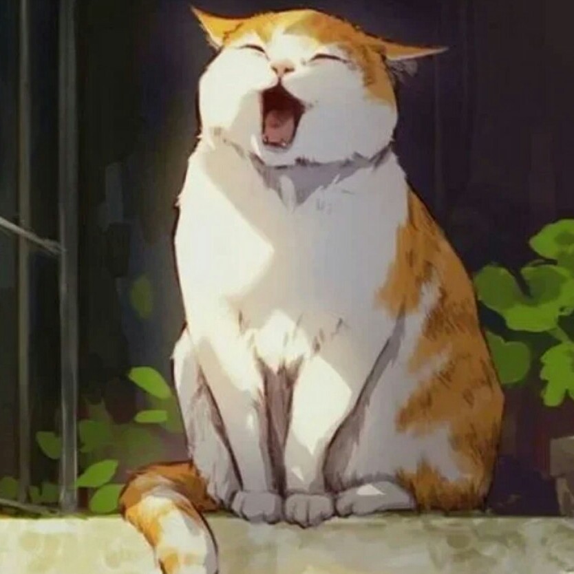 。。。。。。
