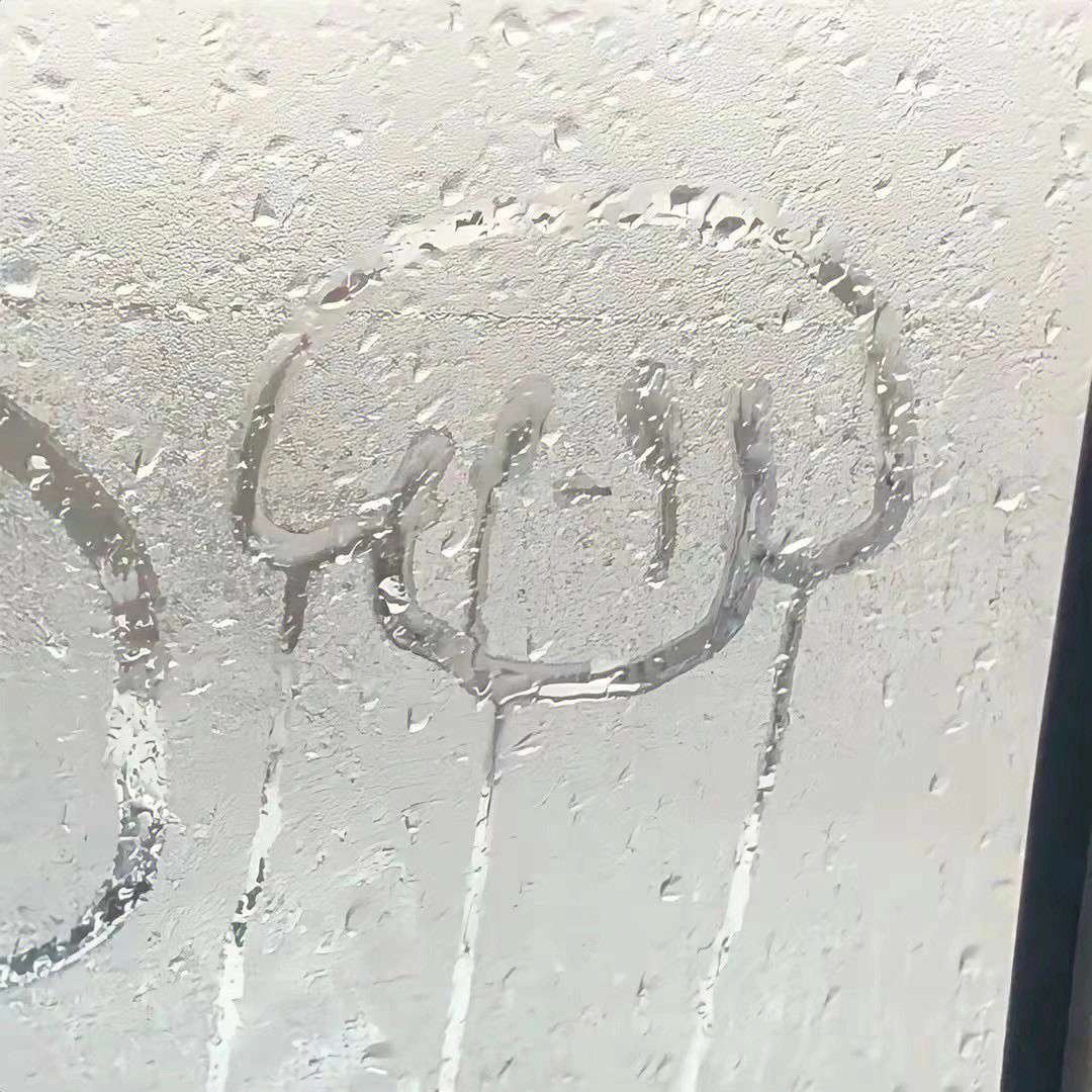 懒的专辑