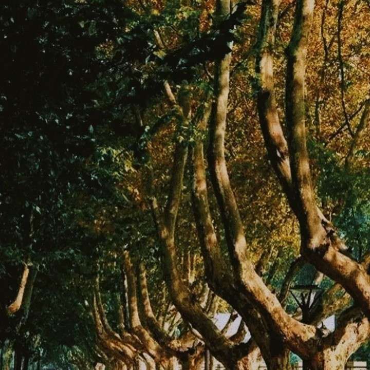 终于原耽