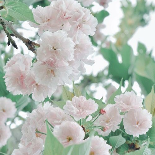 平日积累