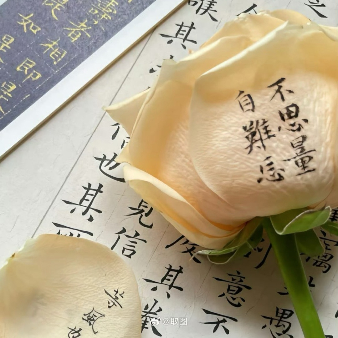 作文古诗词