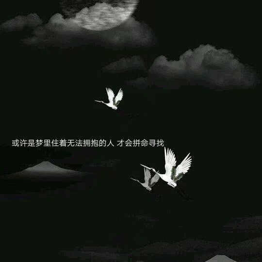 冬