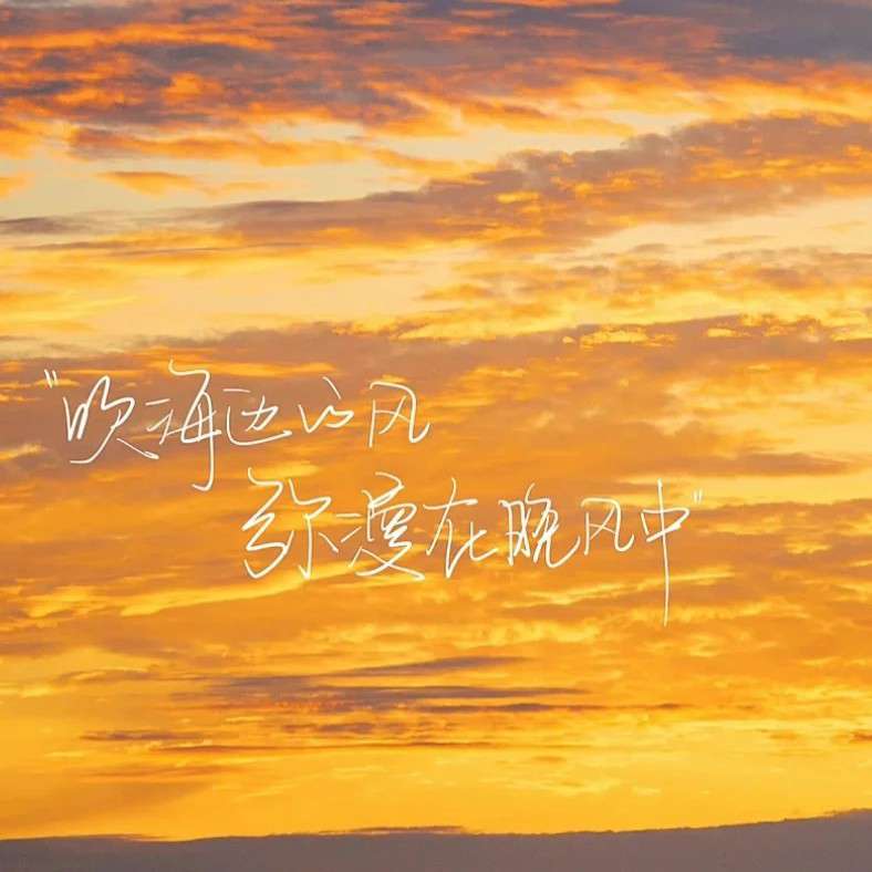 晨曦的专辑
