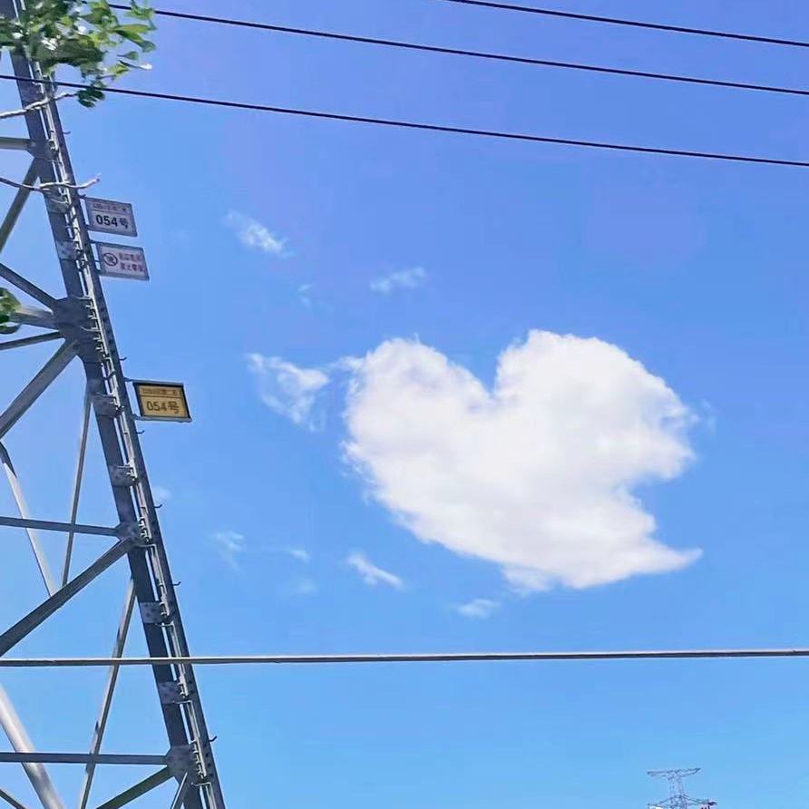 收藏