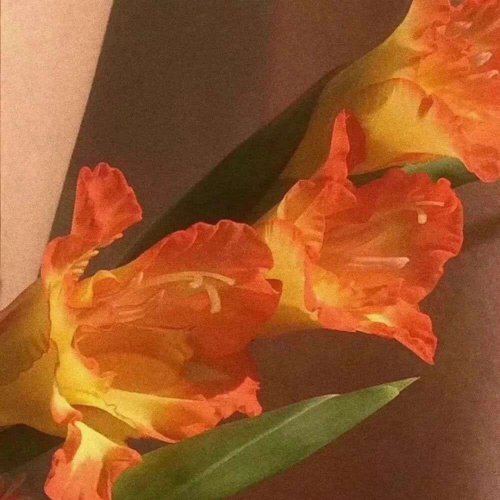婷安.的专辑