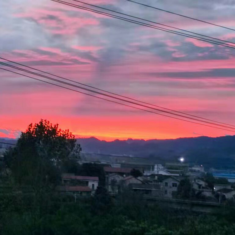 治愈系
