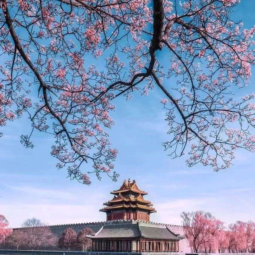颜斐的专辑