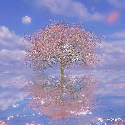 情感