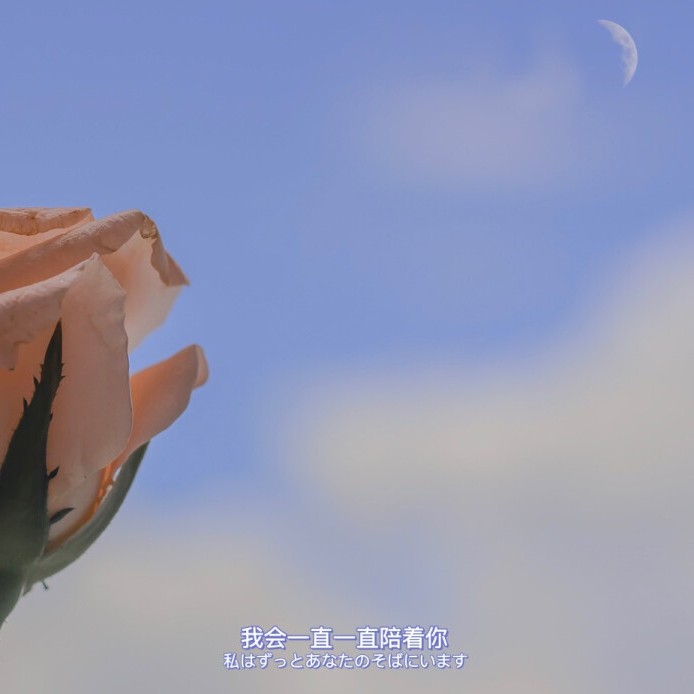 贪恋人间