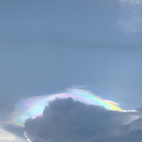 啊愔