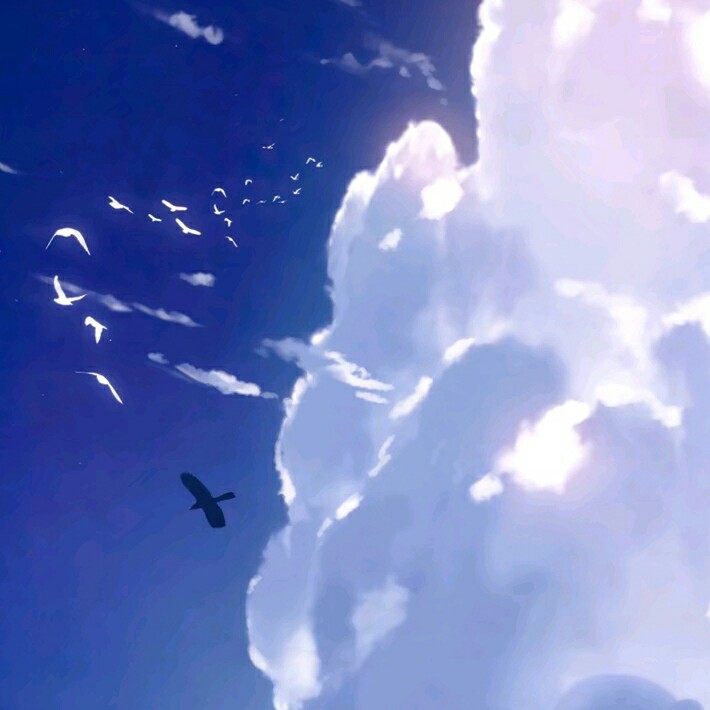 秃毛仙鹤