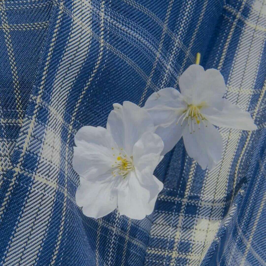 生活