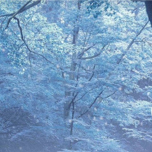 雪