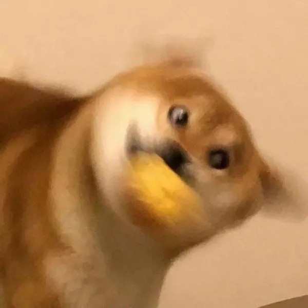 ¿ ¿ ¿ ¿ ¿ ¿