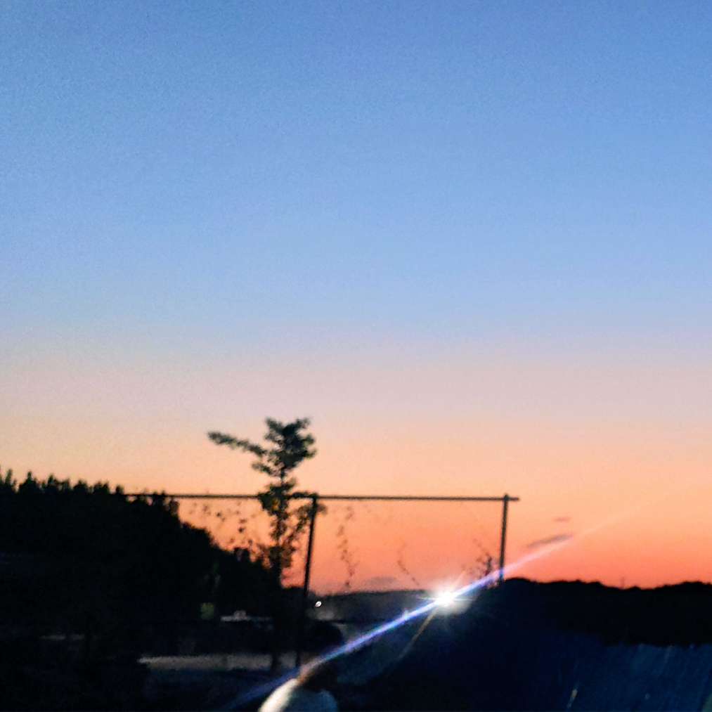 仙逆