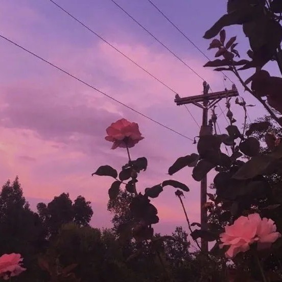 空。的专辑