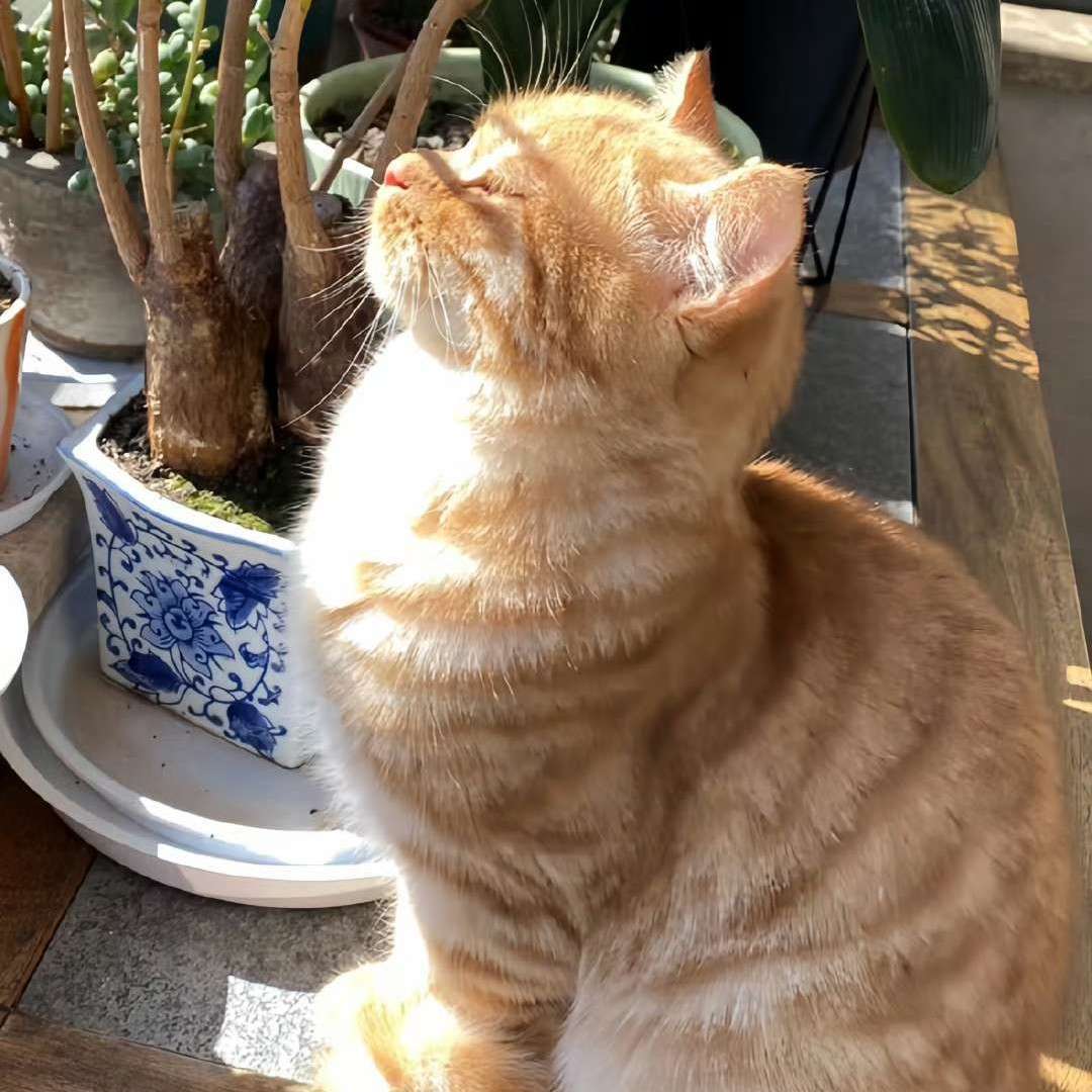 我的专辑