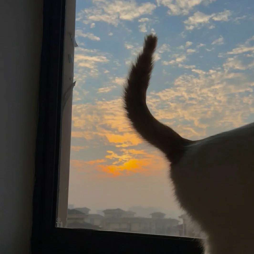 歌词
