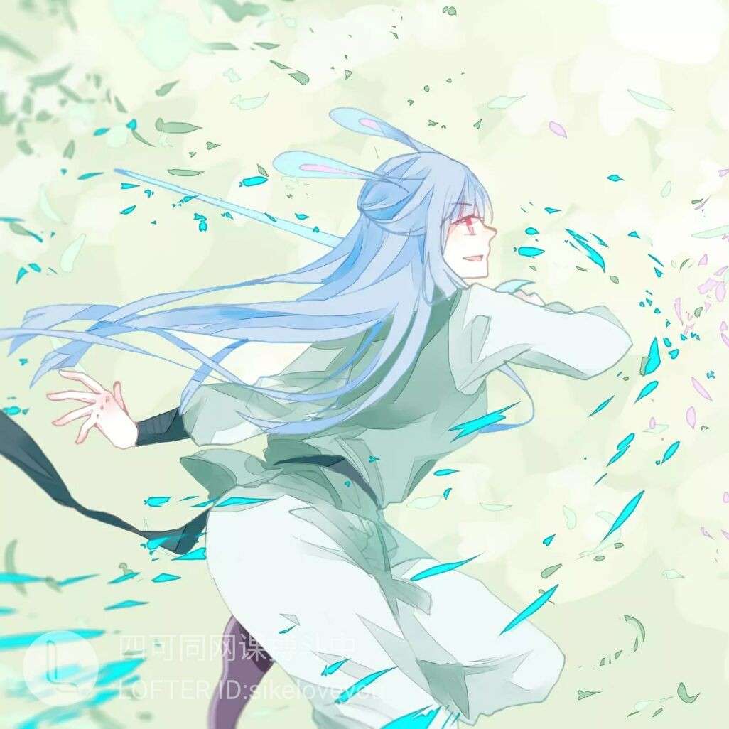 番剧