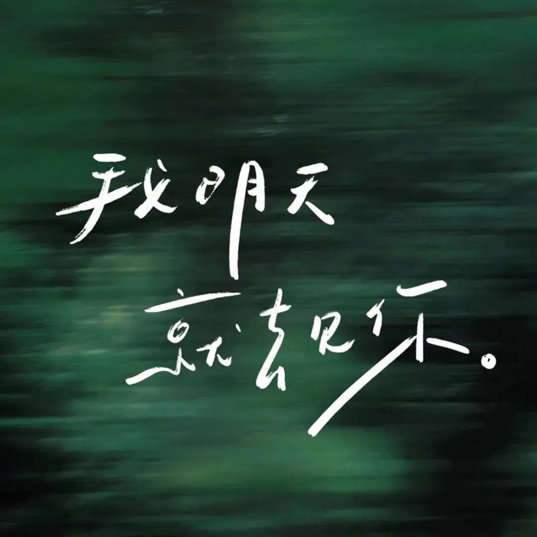 某某QVQ的专辑