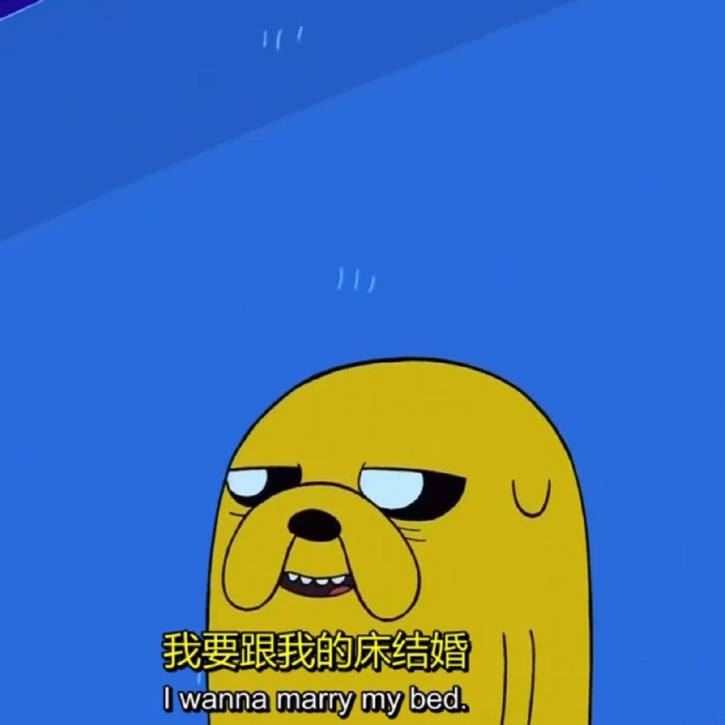 Miss的专辑