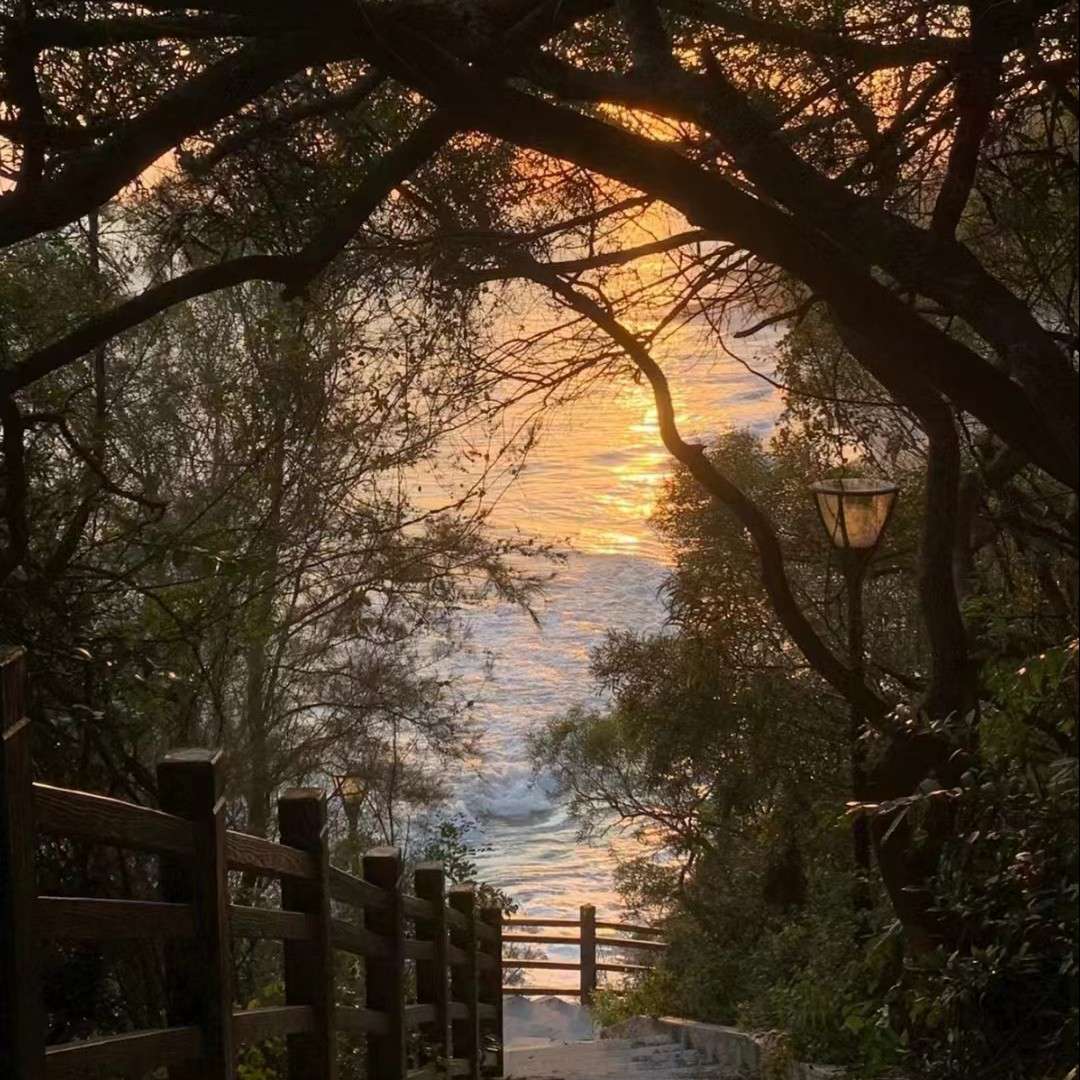 我的专辑