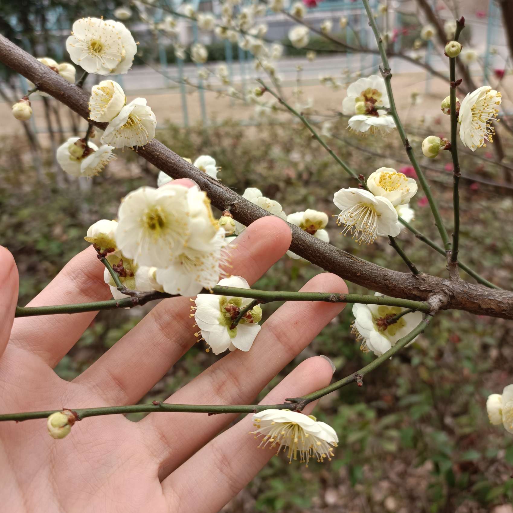 生活摘录