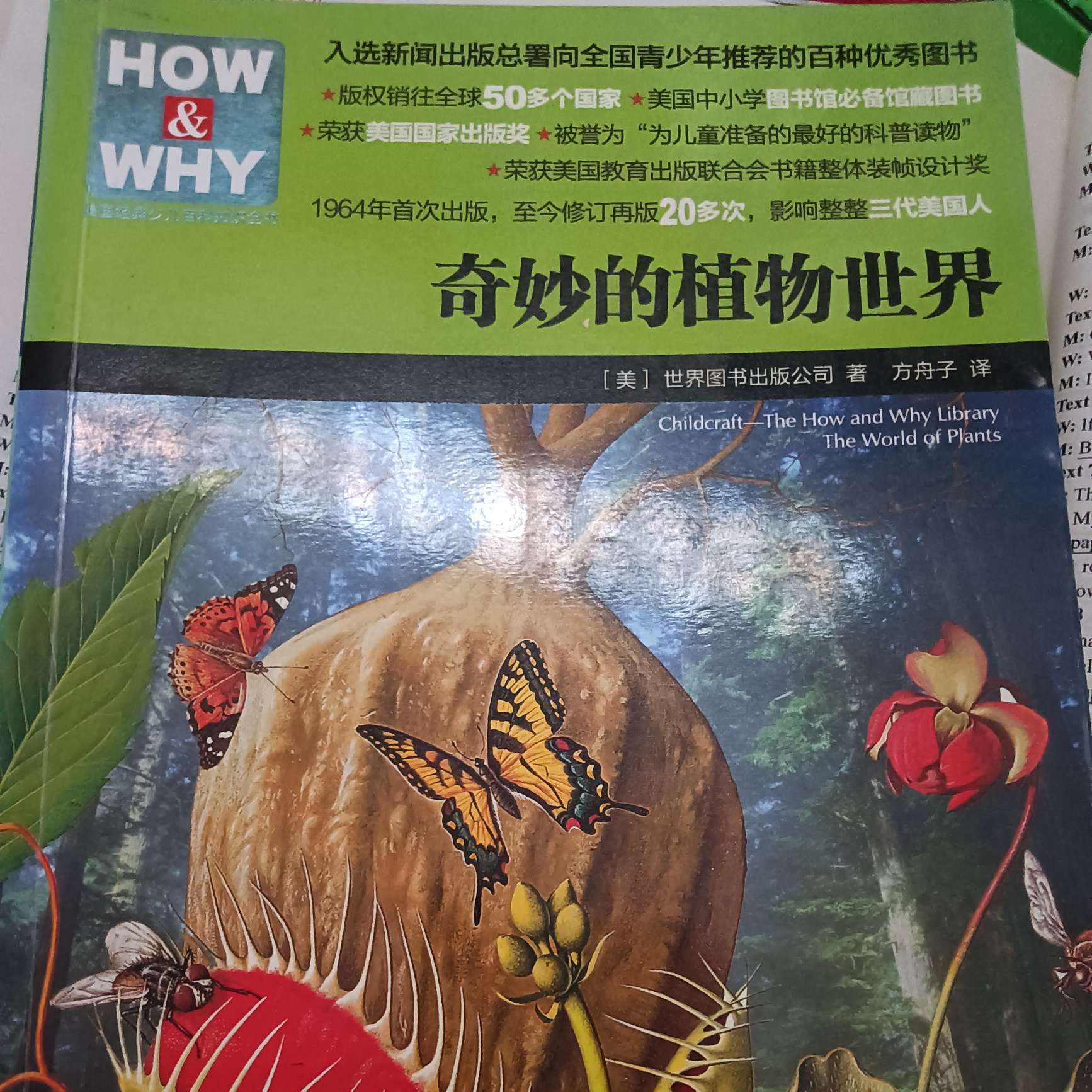 -迷-