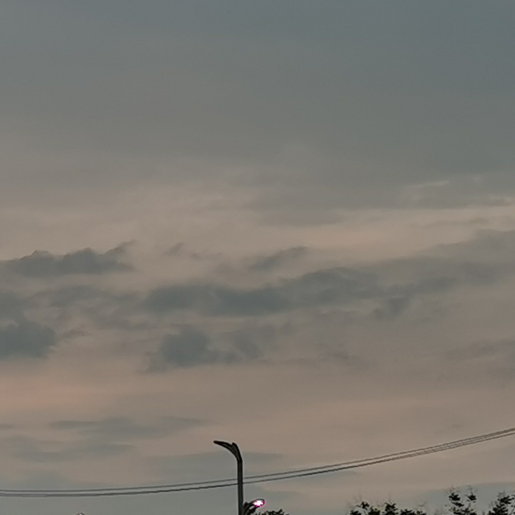 二玖伍的专辑