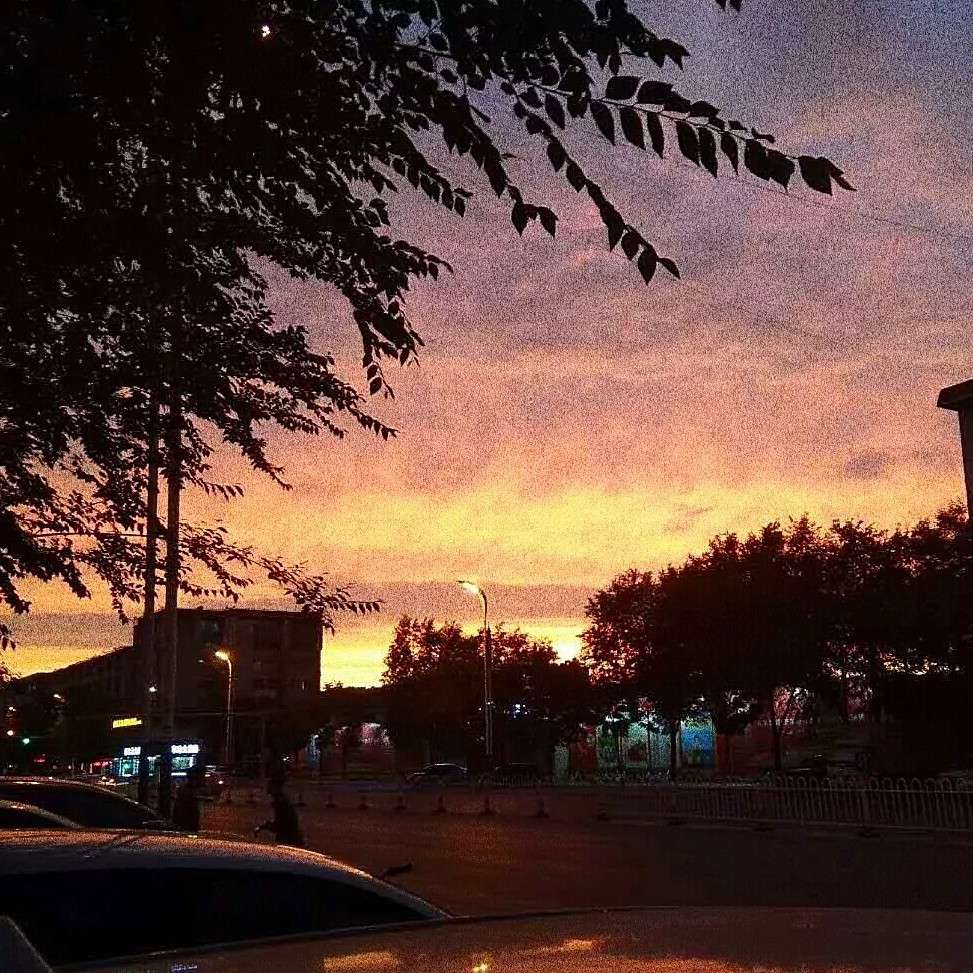 ✨