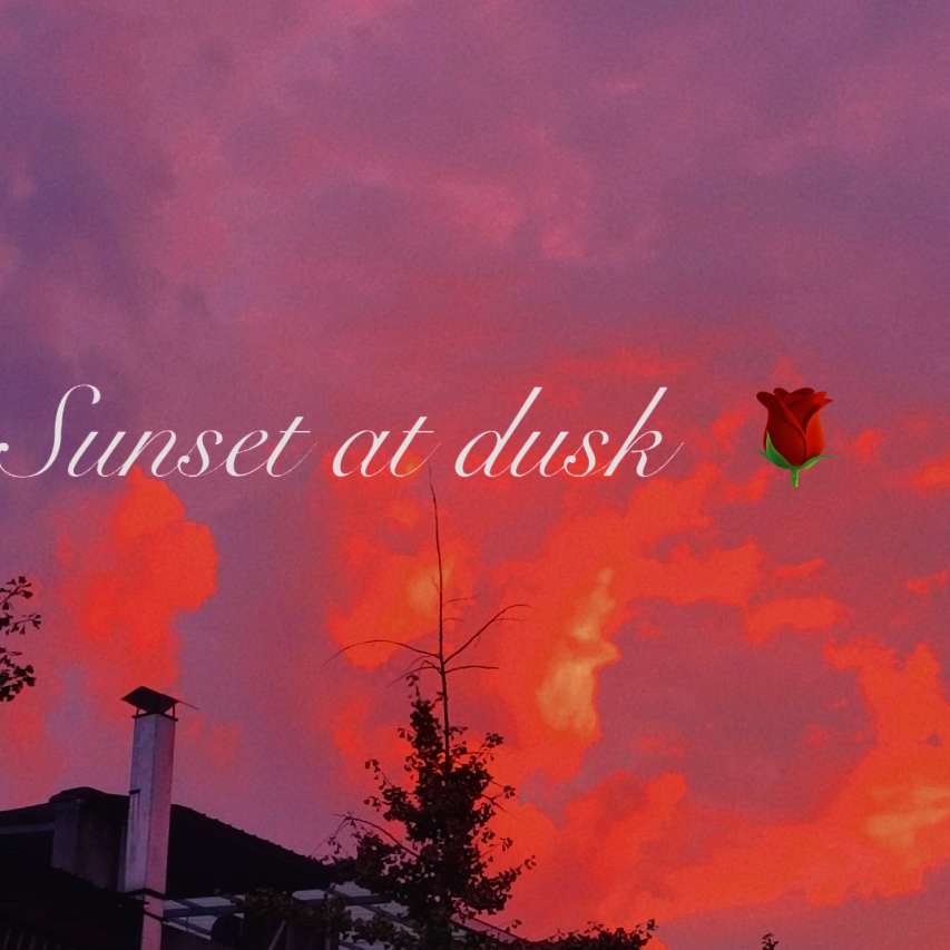 温柔的歌🌹